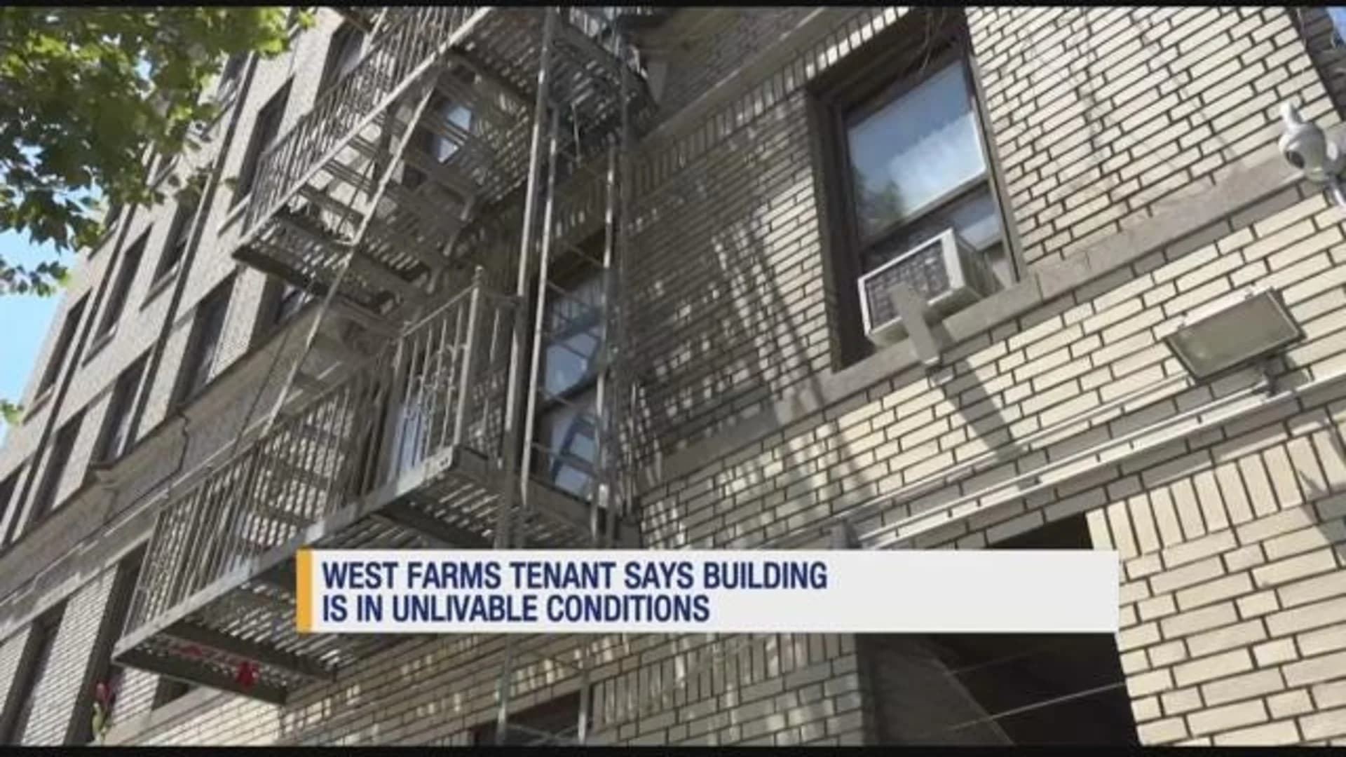 West Farms tenant calls apartment complex unlivable