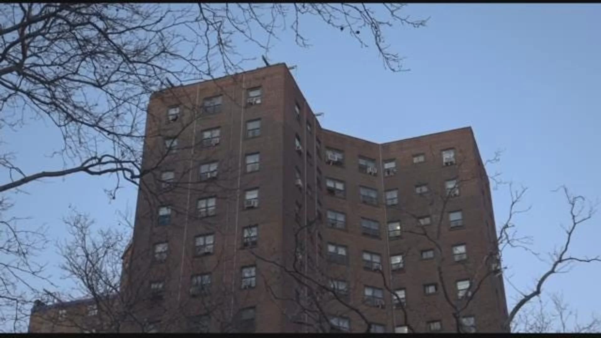 Bronx River Houses last on the list for lead paint removal
