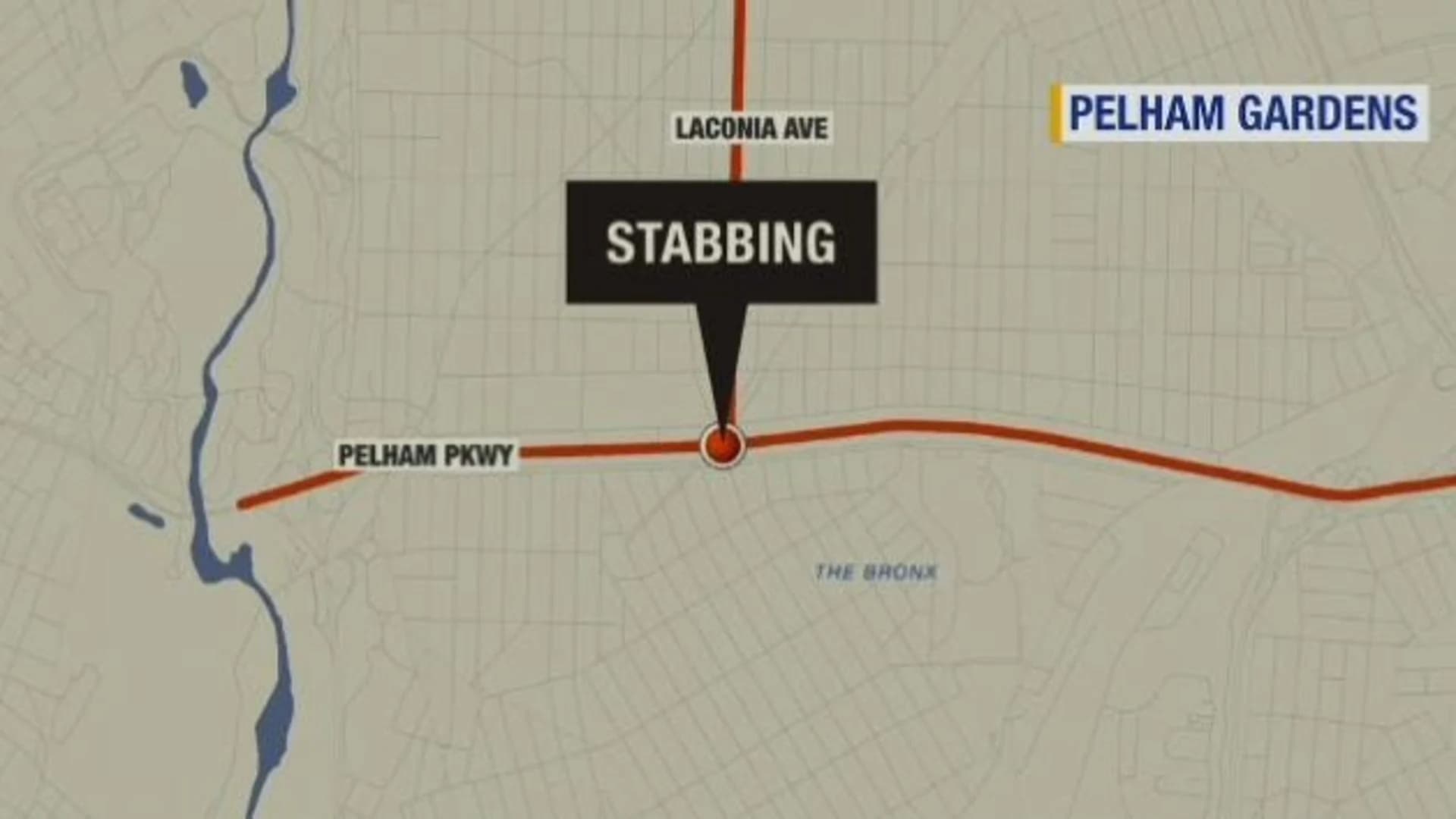 Police: Man stabbed near Pelham Parkway