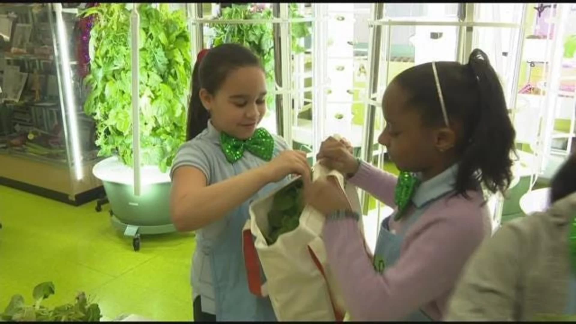 Community School 55 students donate homegrown fruit, vegetables to cancer patients