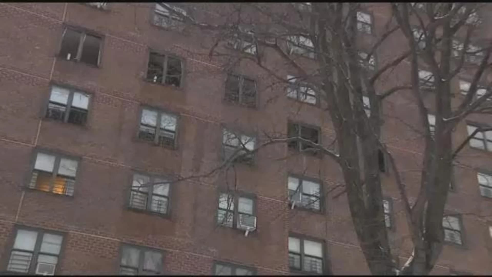 Sources: 5 children among those injured in Webster Ave. fire