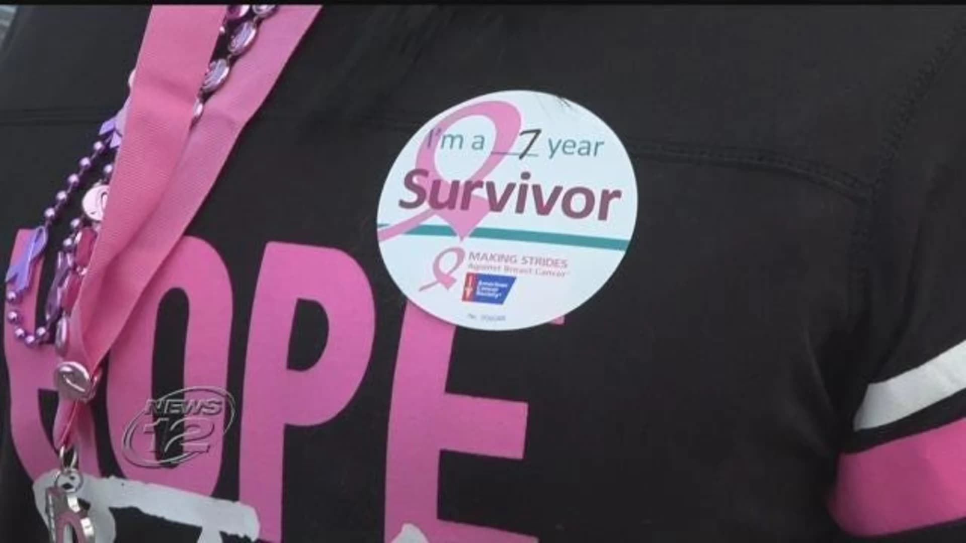 Tens of thousands walk to find breast cancer cure at Jones Beach
