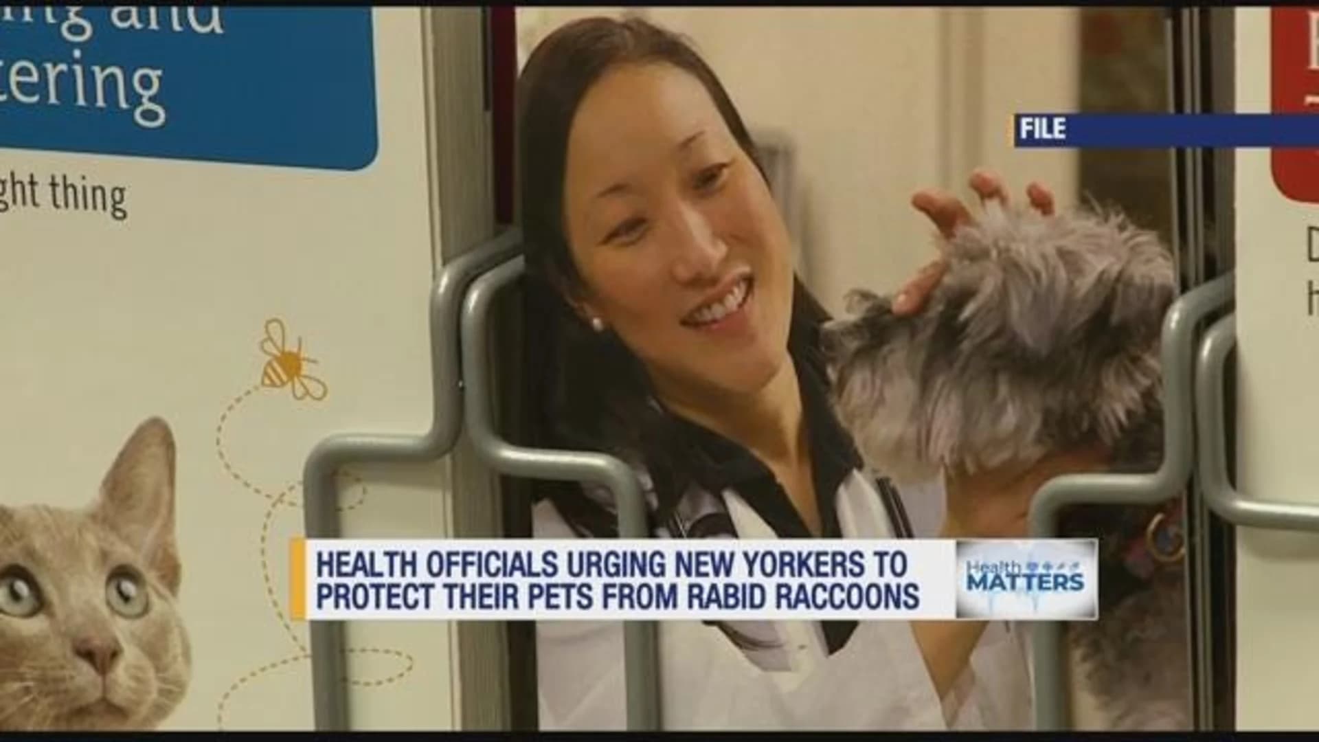 New Yorkers urged to vaccinate pets amid rabid raccoon scare