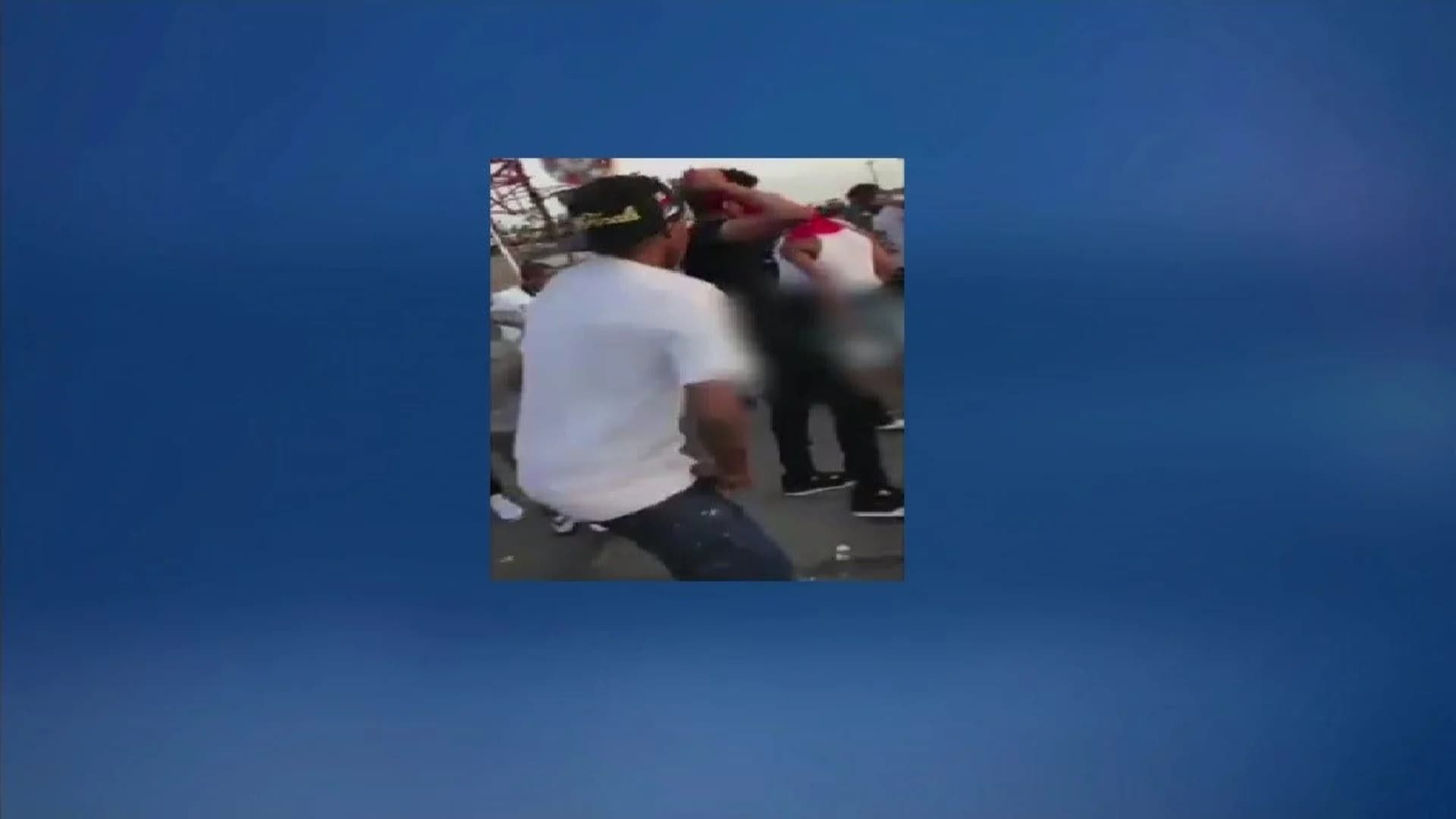Video shows teen attacked by group at Luna Park