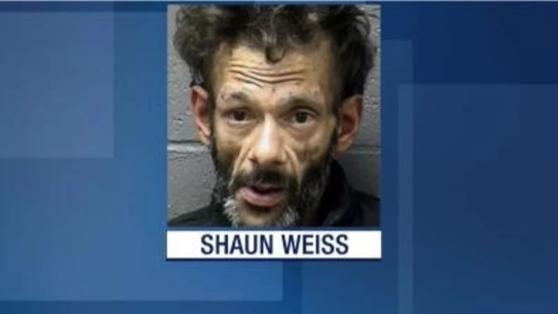 ‘The Mighty Ducks’ actor Shaun Weiss charged with burglary, being under influence of meth