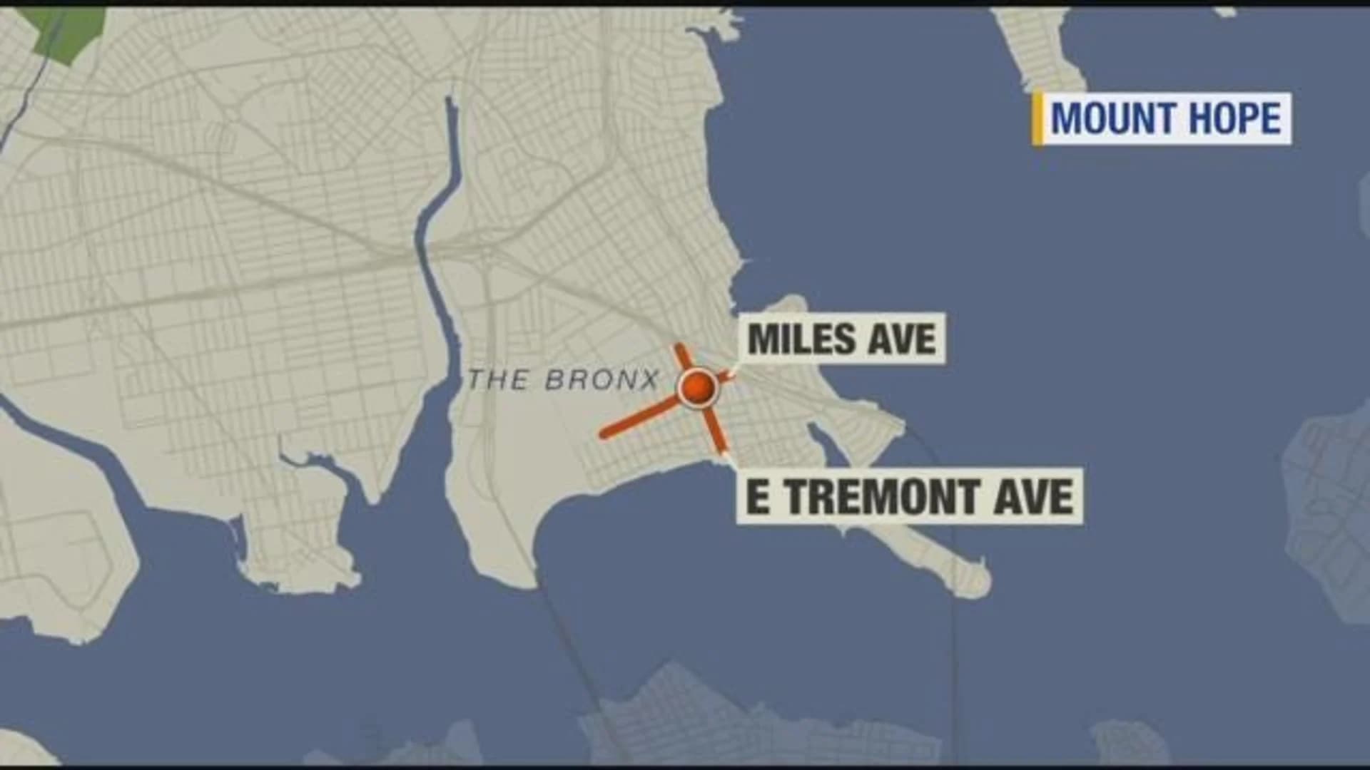 Police: 85-year-old dies after being hit by car on East Tremont Avenue