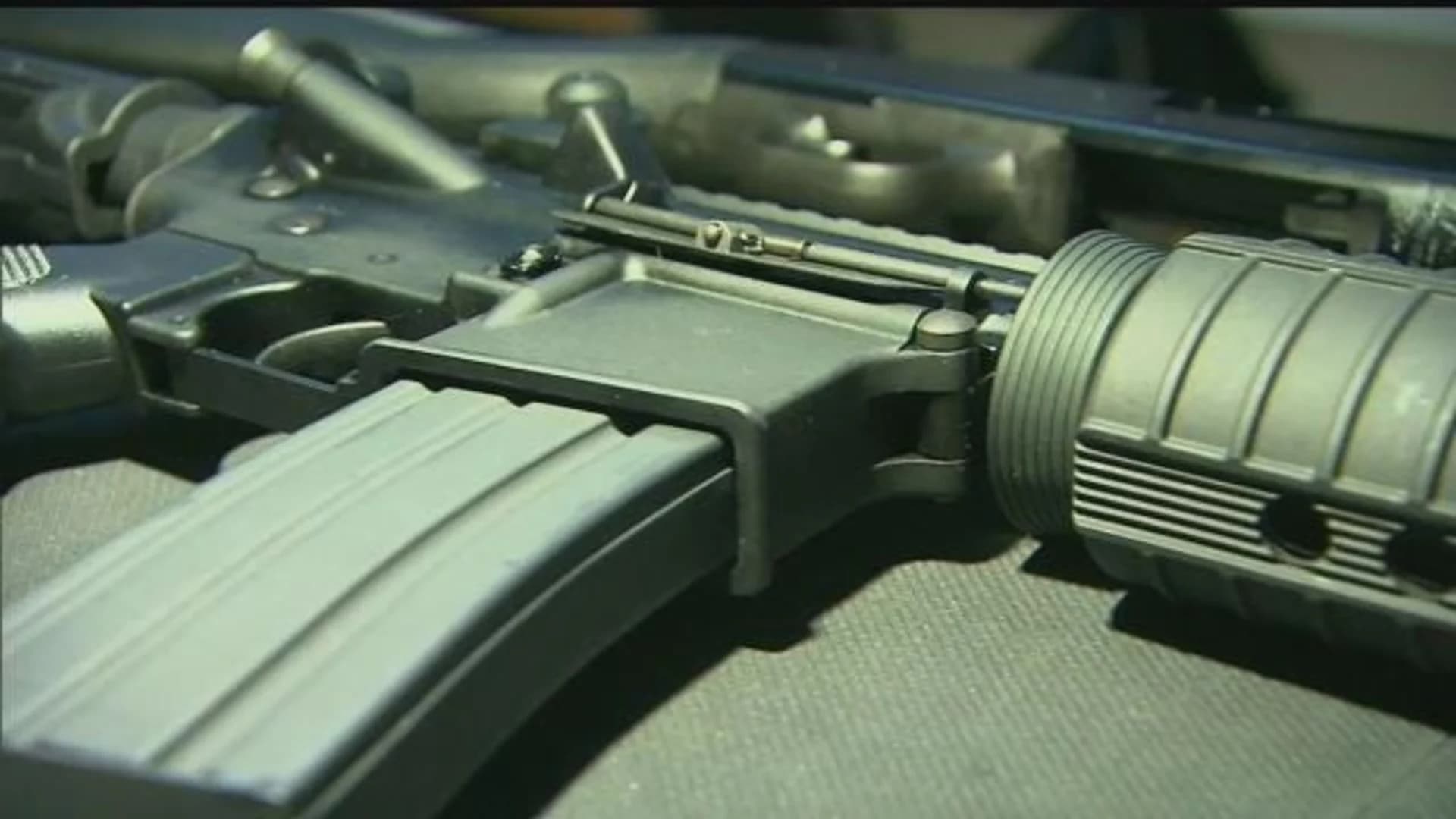 CT Supreme Court rules in favor of Sandy Hook lawsuit against AR-15 style gun-maker
