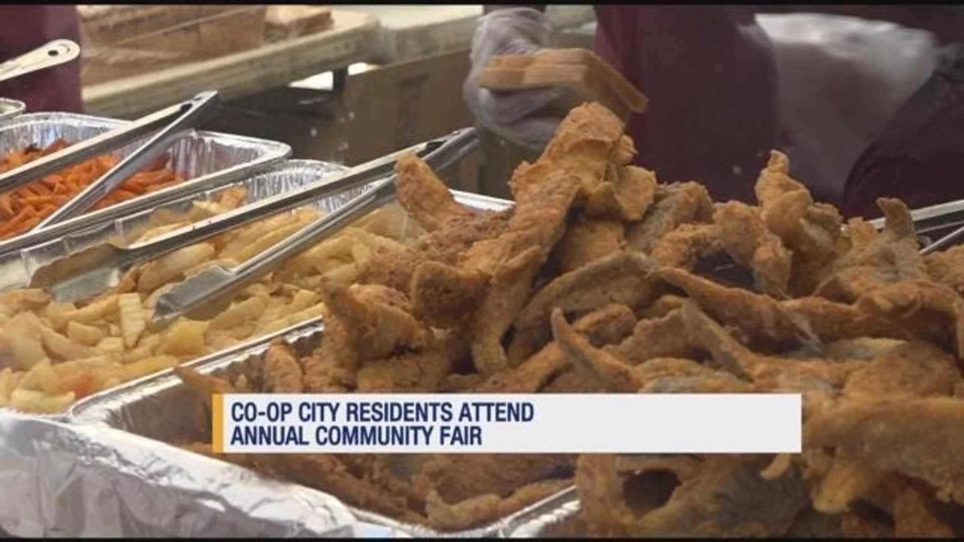 Co-op City hosts annual community fair honoring Caribbean culture