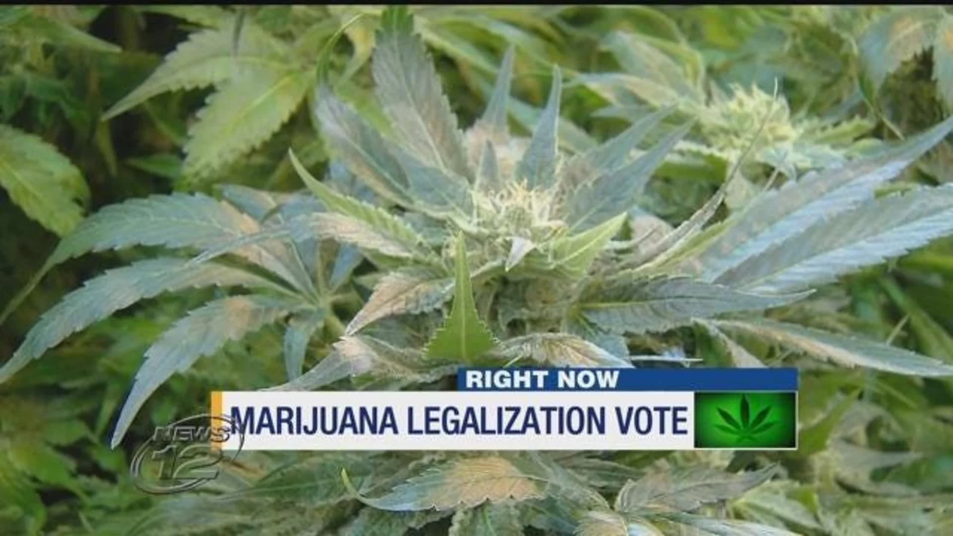 High-stakes recreational marijuana vote set for Monday