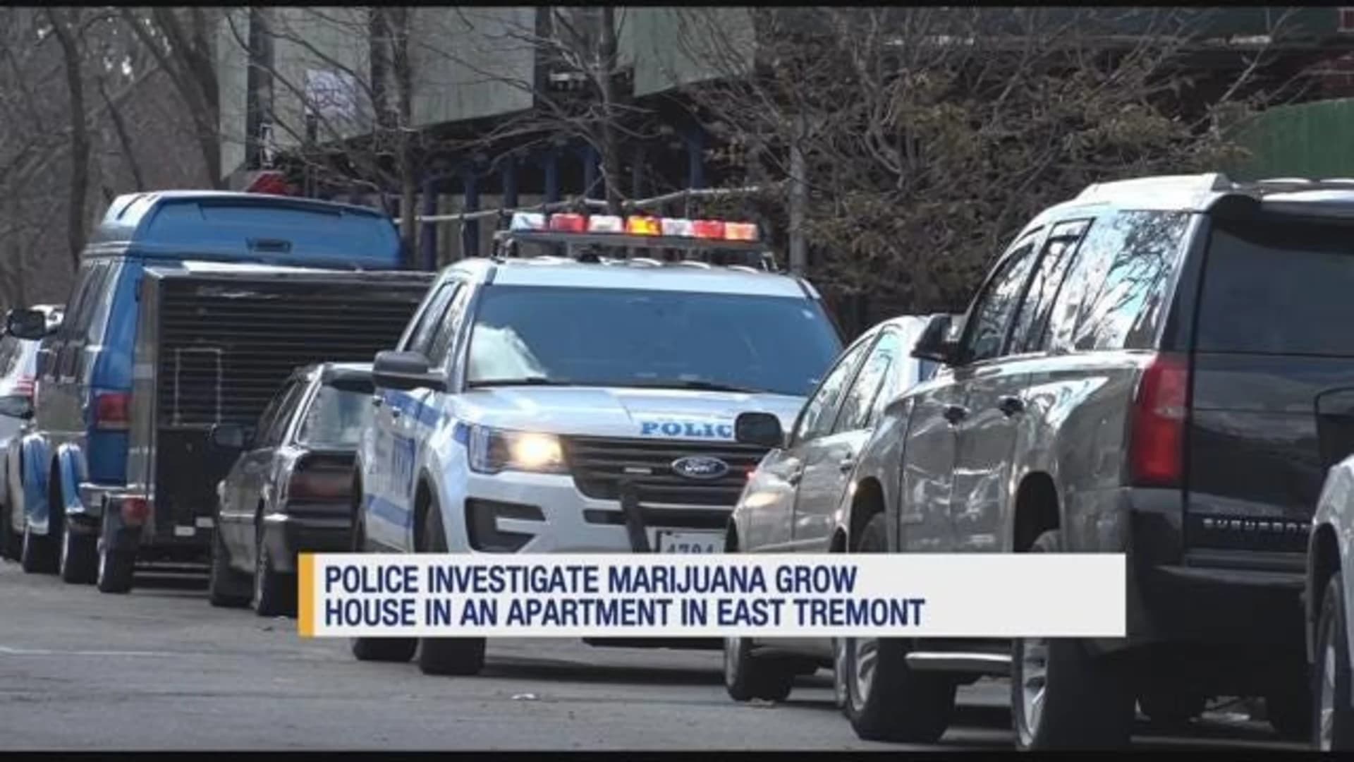 Police: Marijuana grow house uncovered in East Tremont