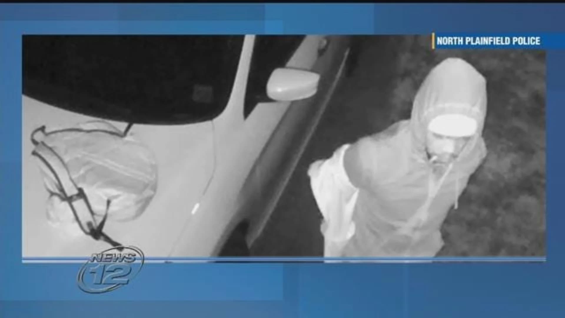 Man accused of defecating on driveway, breaking into car