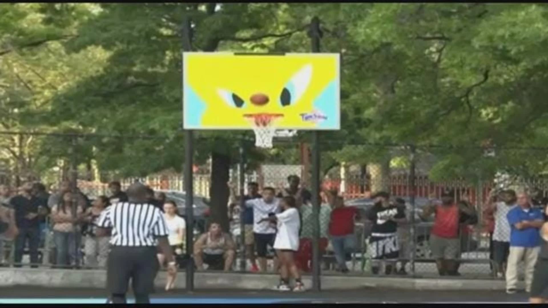 Williamsburg basketball court unveils mural of  iconic 'Space Jam' tune squad