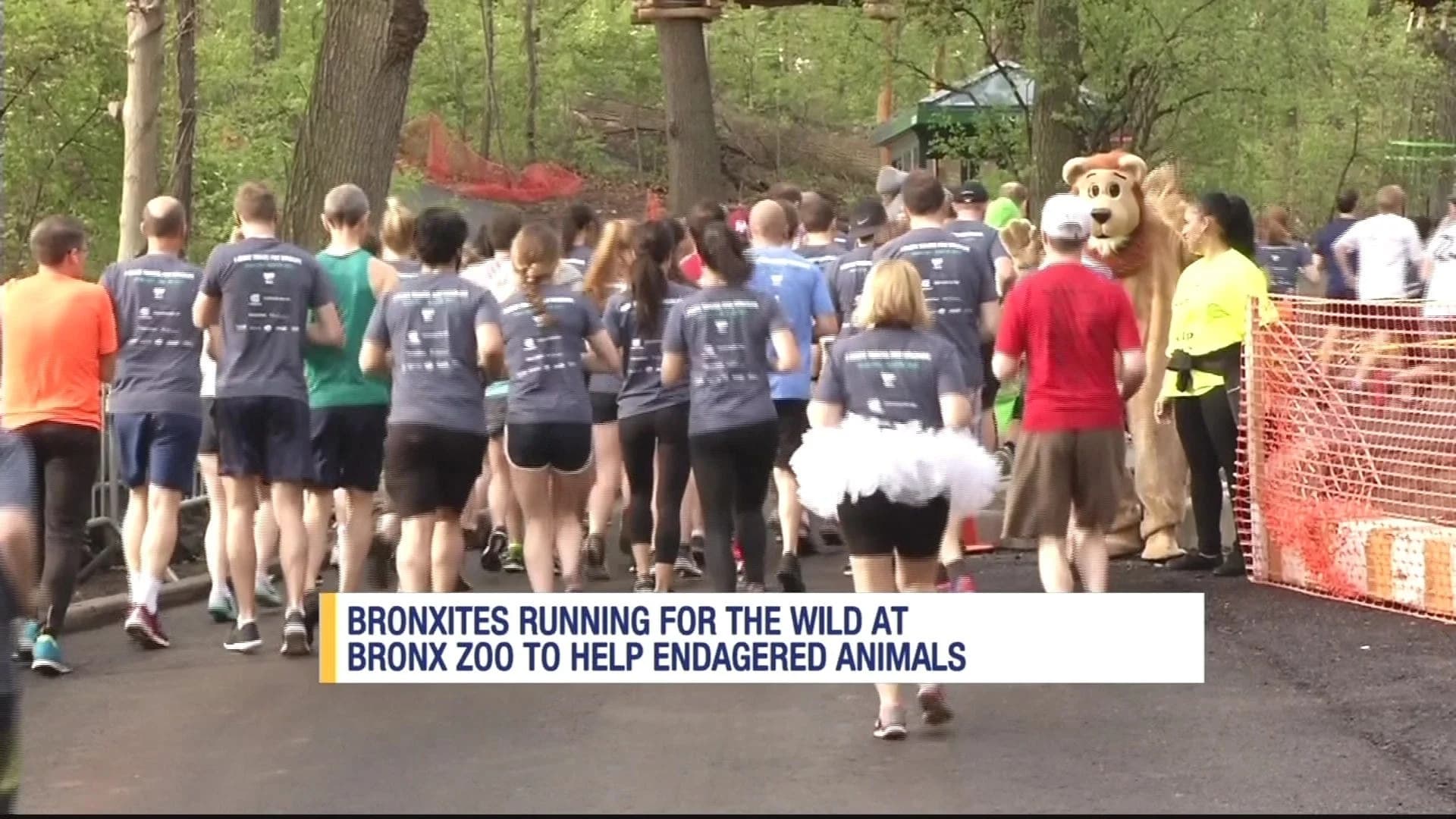 9th annual Wildlife Conservation Society 5K held at Bronx Zoo