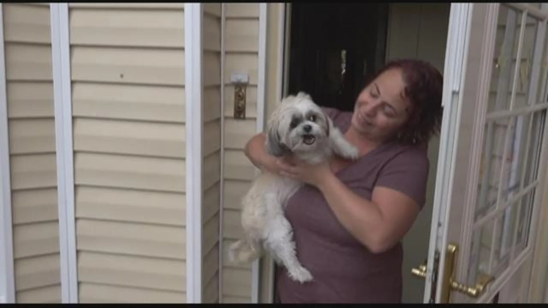 Girl helps family reunite with lost dog