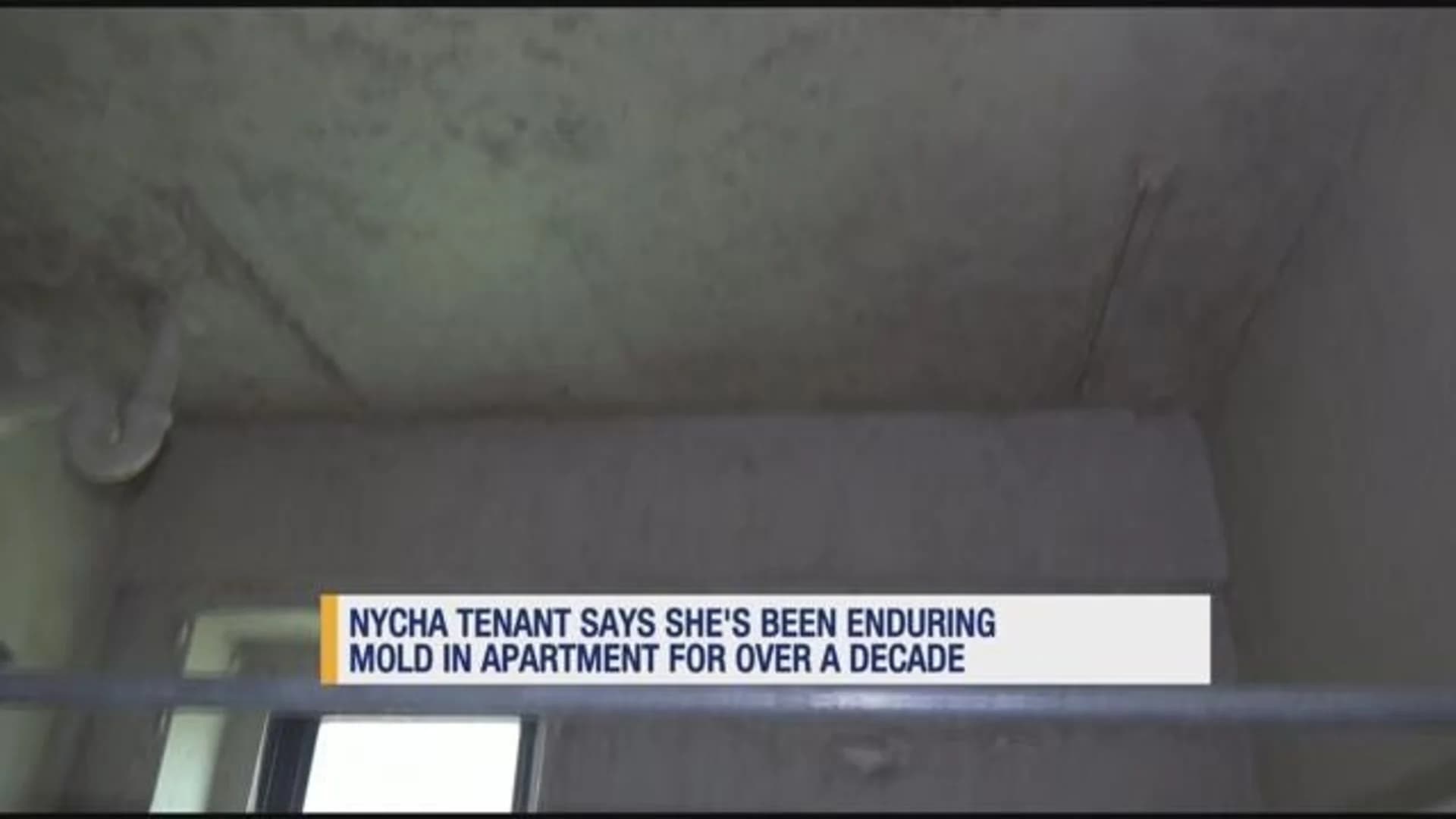 Tenant claims health issues stem from moldy apartment