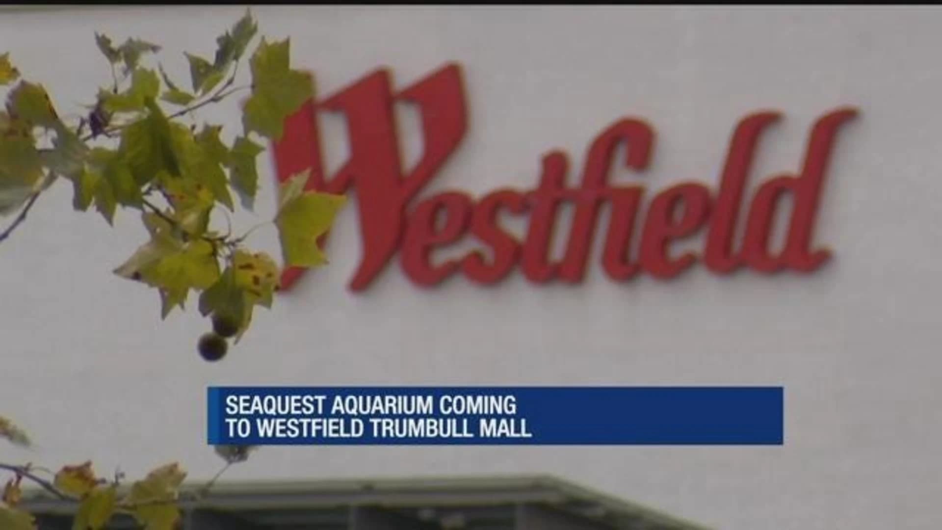 New SeaQuest Aquarium to make splash at Westfield Trumbull Mall