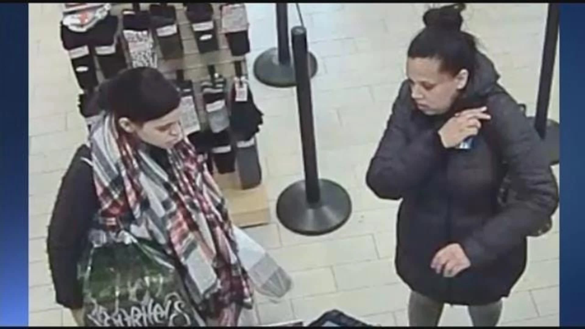 Police seek 2 who racked up unauthorized charges on credit cards
