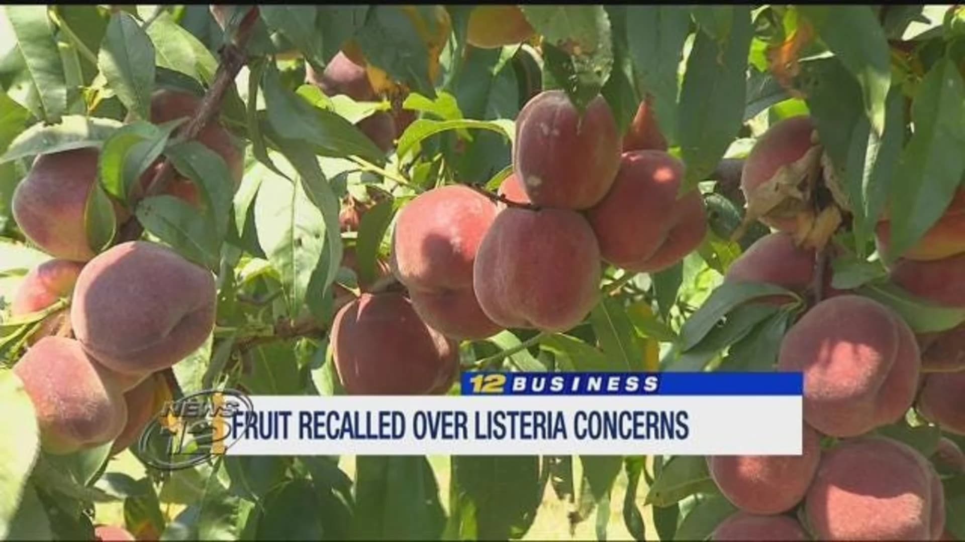 Company recalls thousands of fruits over concerns of infectious bacteria