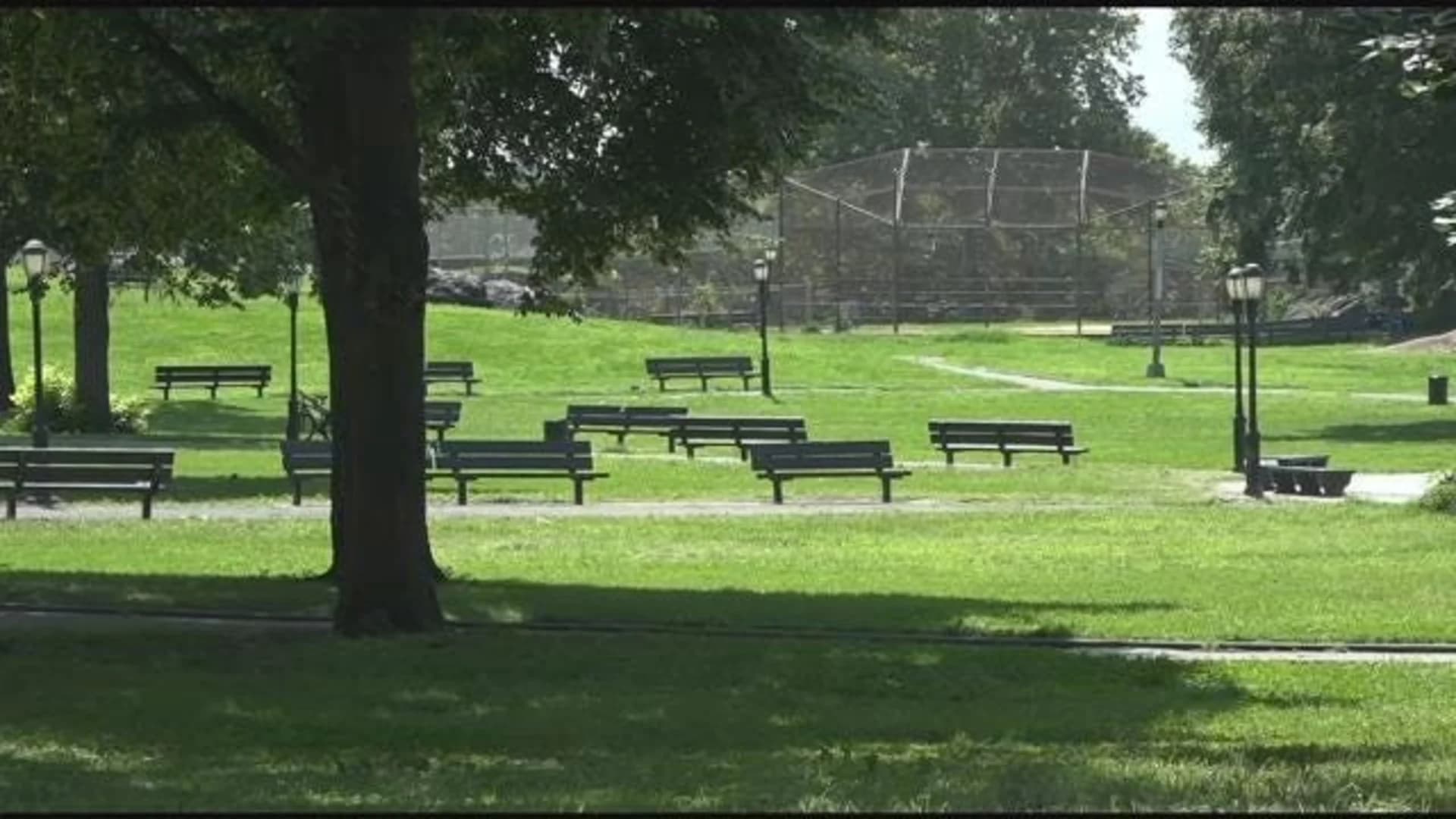 Parks Department rule proposal would prohibit animal feeding