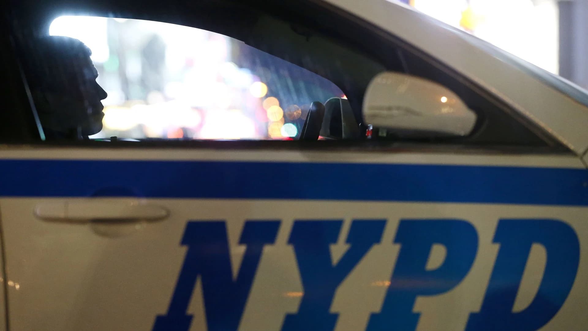 NYPD posts discipline records, critics say many still hidden