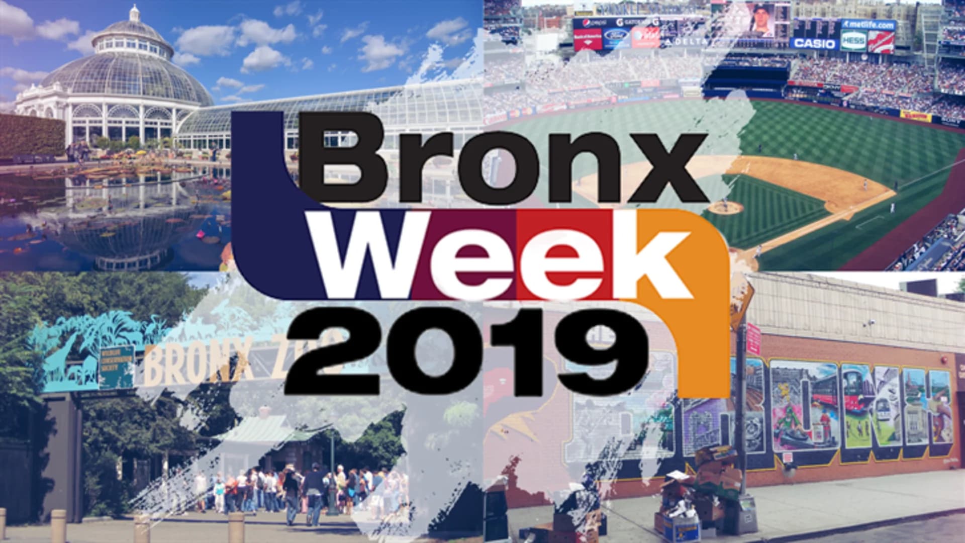 Bronx Week 2019 Numbers & Link