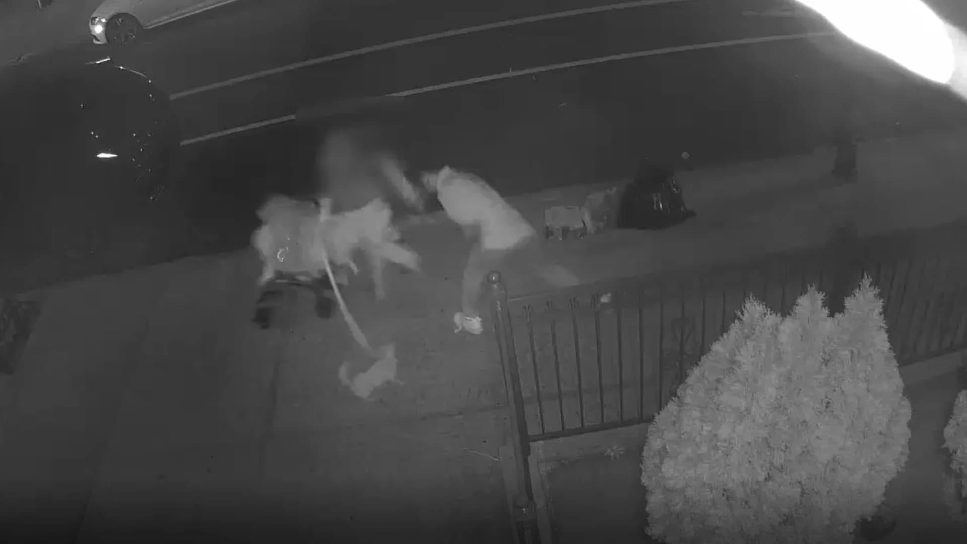 Video shows mother, children fall after suspect forcibly touches mother in Brooklyn